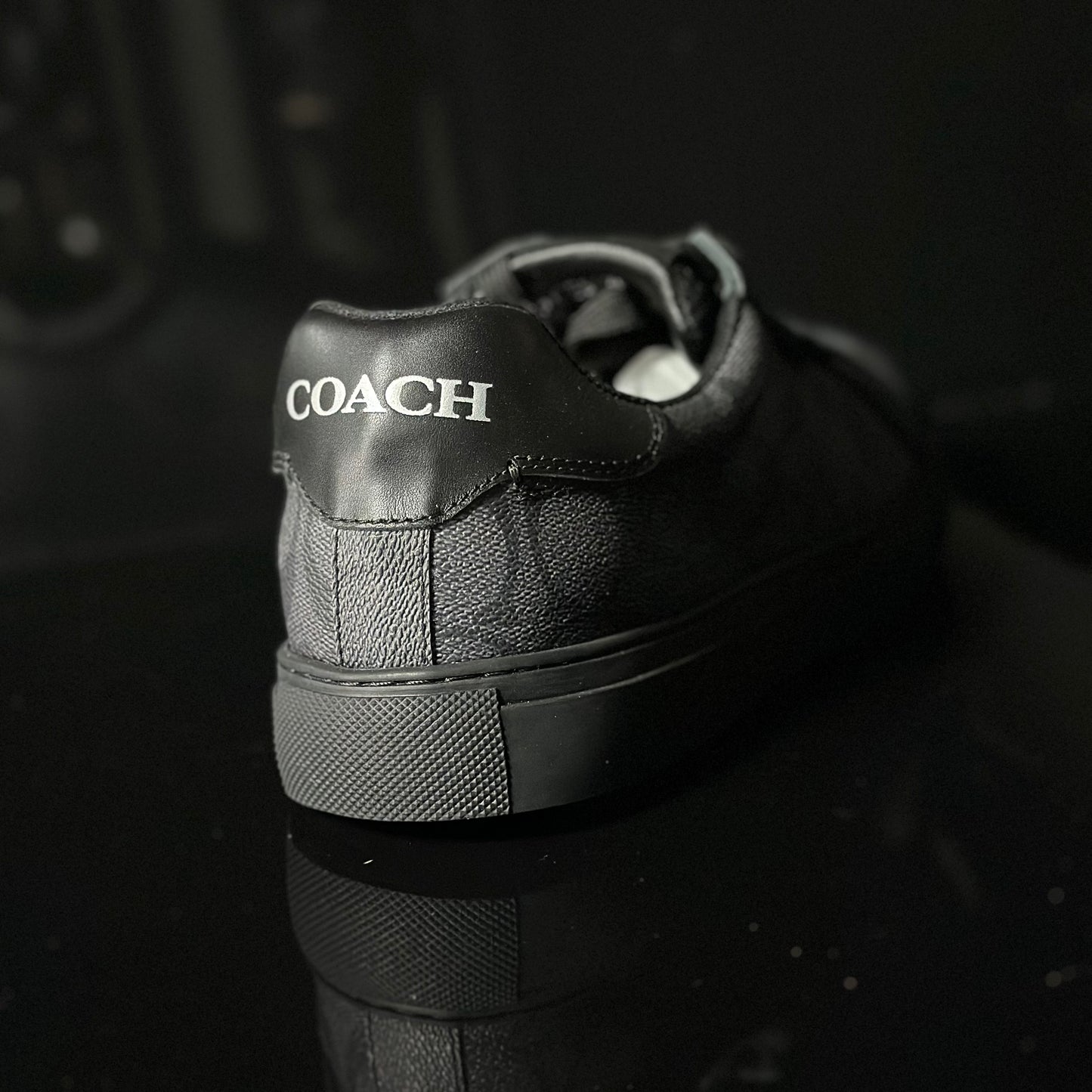 Coach Low Negro (full set)